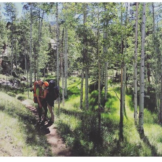 Aspen fields - Goose Creek, Refrigerator Gulch 06.2017