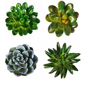 CoCoMe Funny 3D Resin Succulent Fridge Refrigerator Magnets Good Gift for Kid Friends