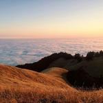 Mount Tamalpais State Park