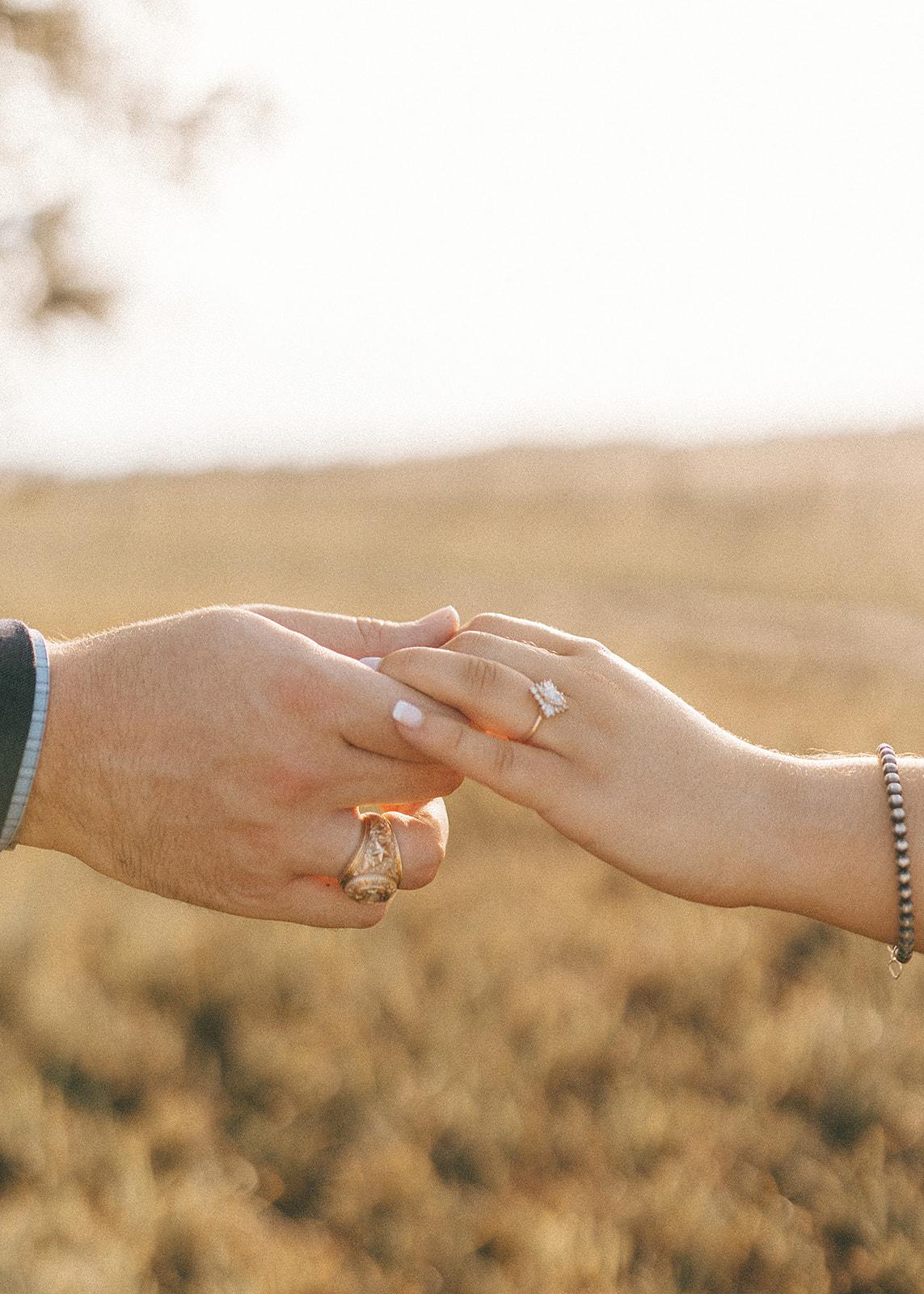 The Wedding Website of Lauren Provost and Conner Neumann