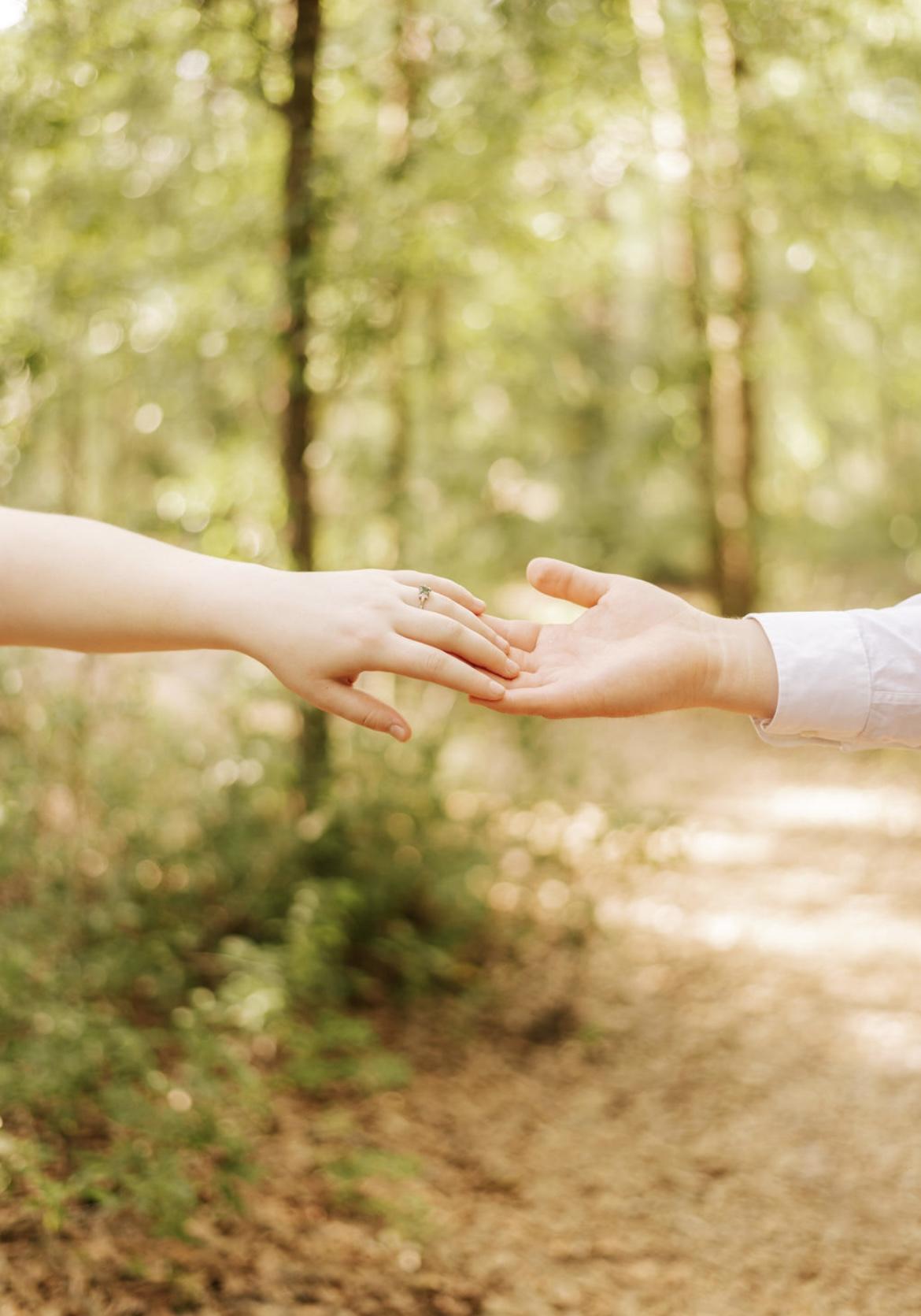 The Wedding Website of Rachael Elbl and Aaron Dispagno