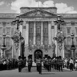 Buckingham Palace