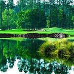 The Golf Club at North Hampton