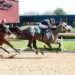 Oaklawn Races