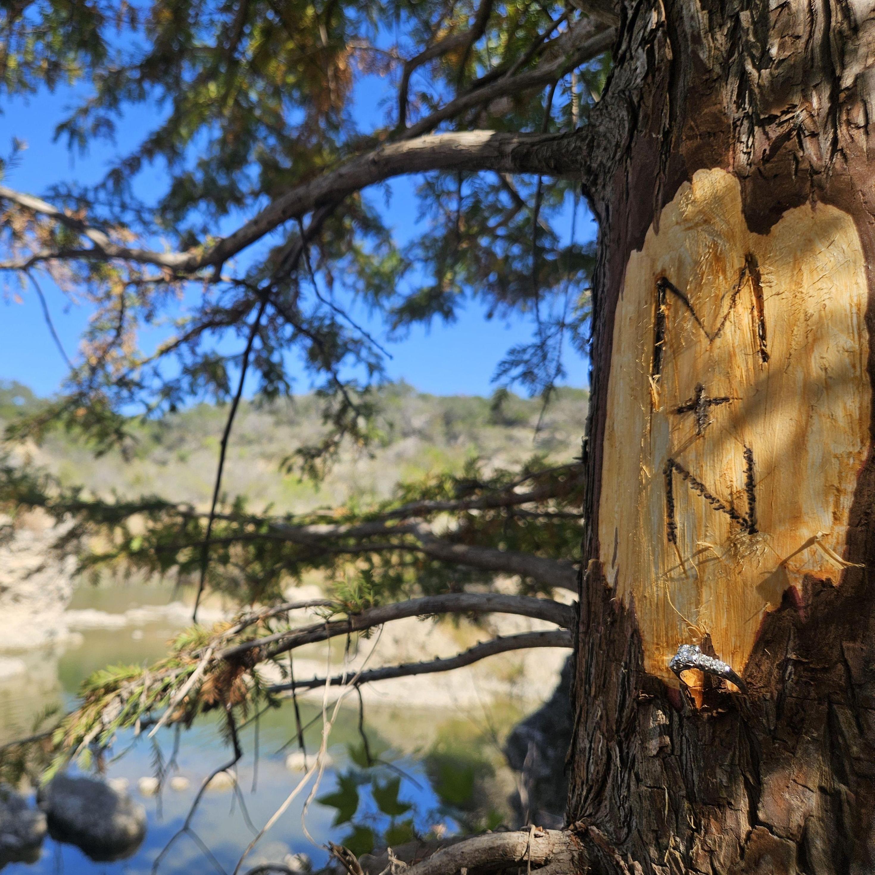 Carved our initials in the tree by our proposal spot
