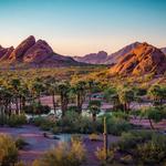 🌵 Outdoor Adventures