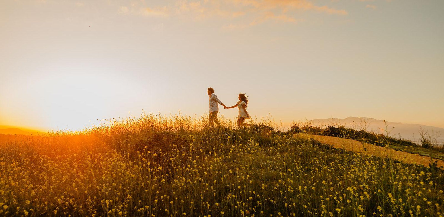 The Wedding Website of Andrew Solomona and Amanda Low