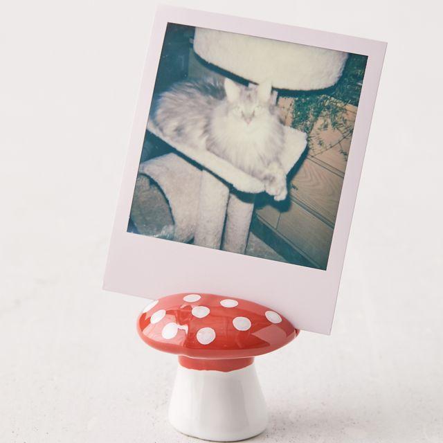 Mushroom Photo Stand