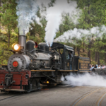 Ride a Steam Engine at Yosemite Mountain Sugar Pine Railroad