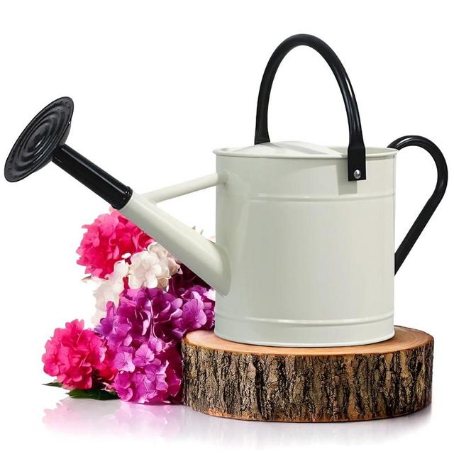 Plexon 1 Gallon Metal Watering Can Outdoor, Flower Plant Gardening Garden Large Watering Can Pot, Black Galvanized Steel Handles and Removable Spray Spout, Off-White