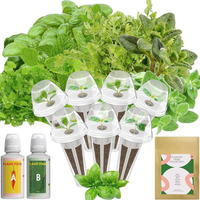 inbloom Hydroponics Herb Seed Pod Kit for AeroGarden, iDoo, Ahopegarden, GARDENCUBE, 7 Pods (350+ Herb Seeds with Basil, Parsley, Mint, Cilantro, Savory, Thyme and Oregano)