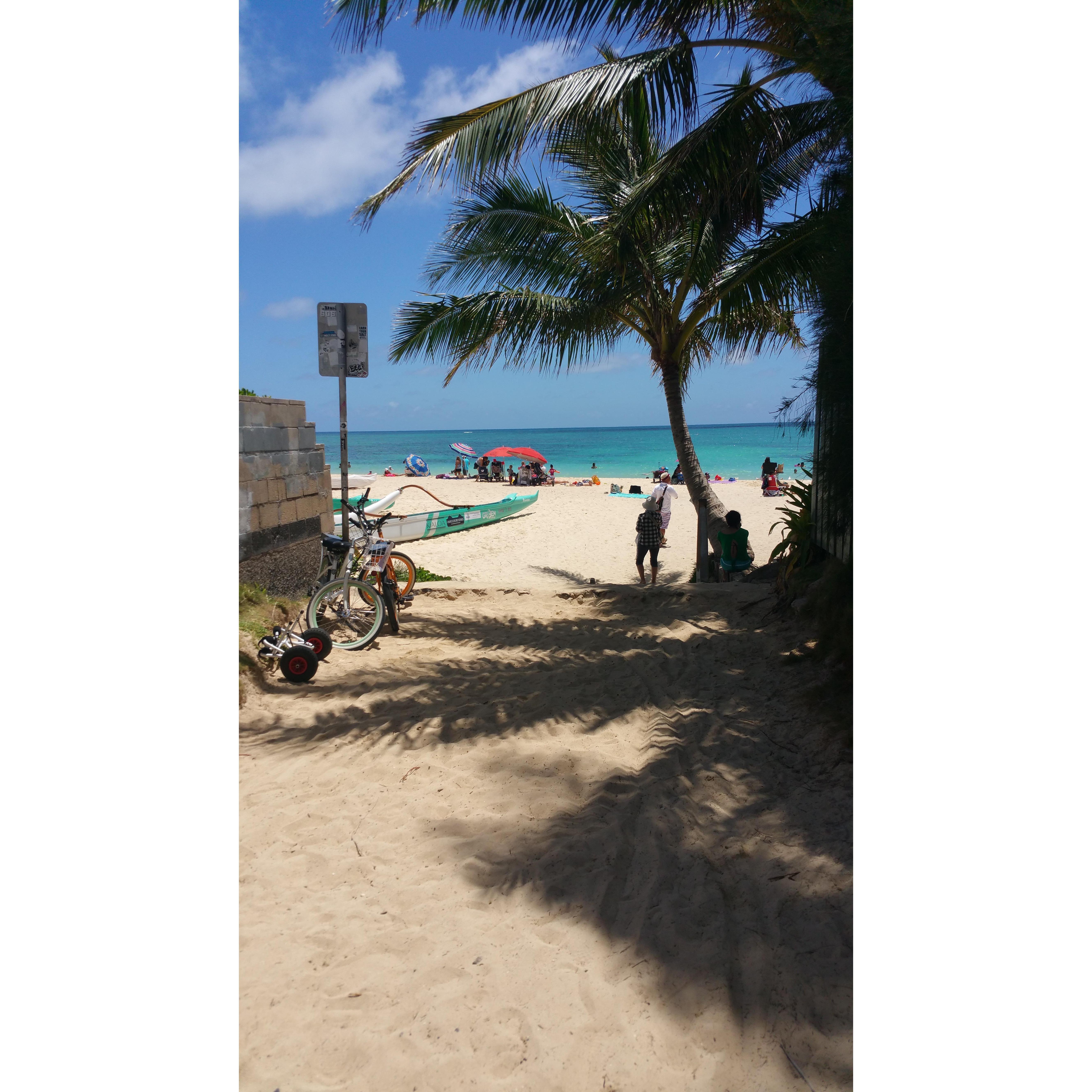 Obama Beach Hawaii