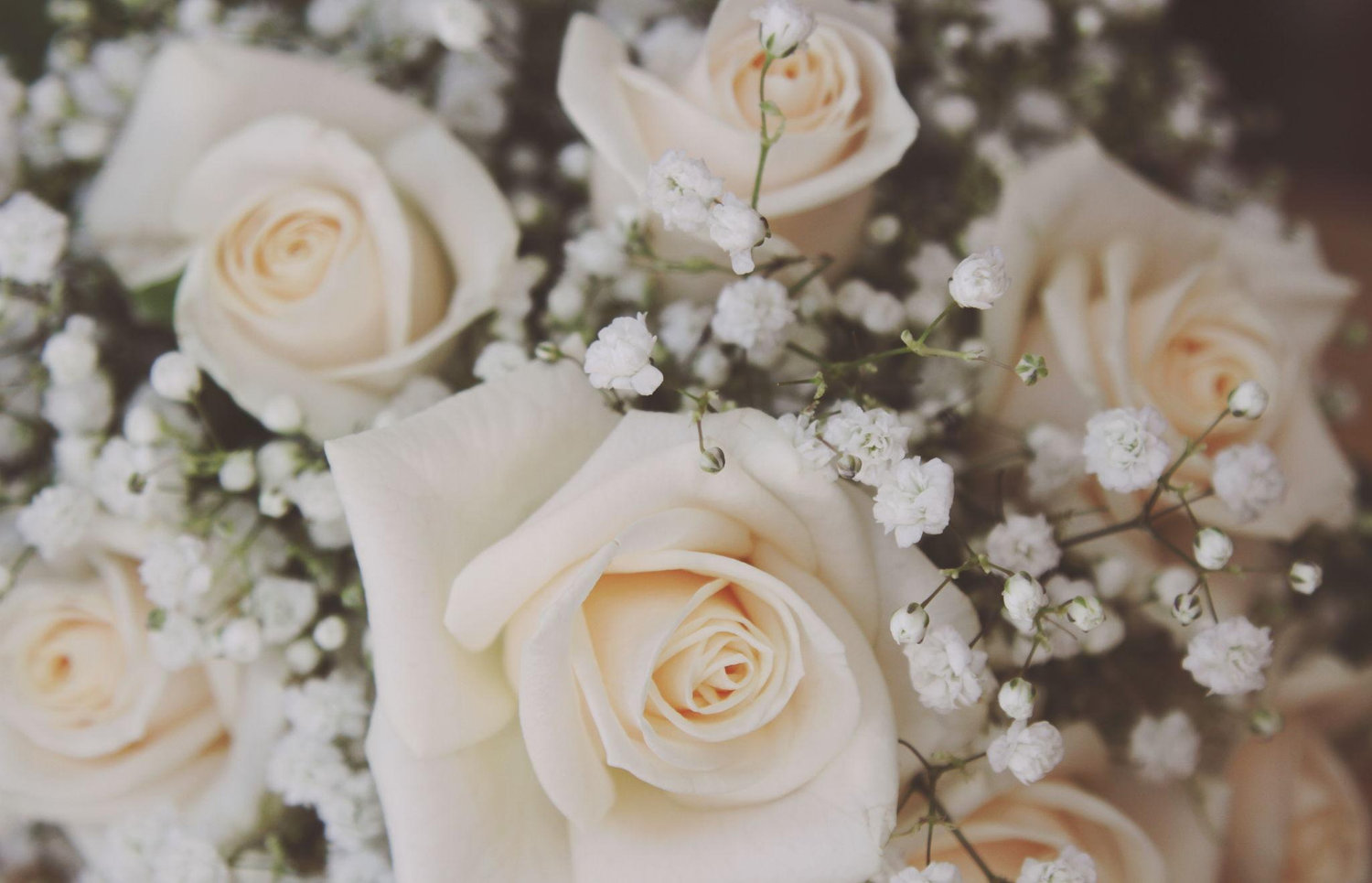 The Wedding Website of Kathryn Jalbert and Jonathan Rosales