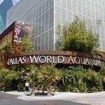 The Dallas World Aquarium