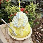 ★ Original Big Island Shave Ice Co. ⸺ SHAVE ICE