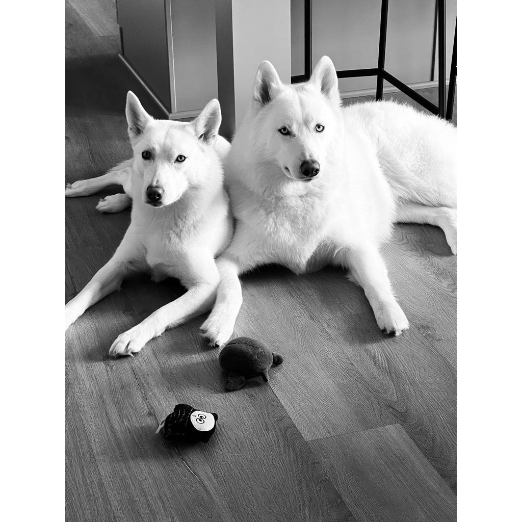 Maya and Keita 💞🐾