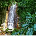 Enjoy the Stunning Waterfalls at Diamond Falls Botanical Garden!