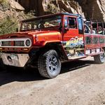 Wildside 4x4 Tours