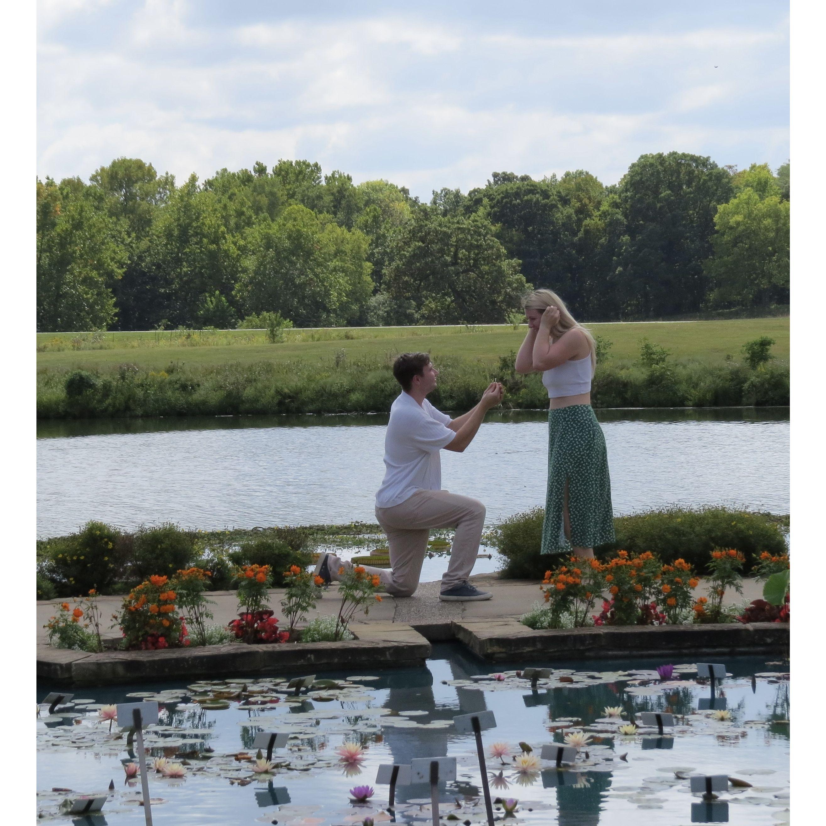 The perfect proposal