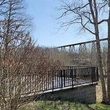 Tulip Trestle Observation Deck
