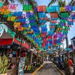 Wander Sayulita