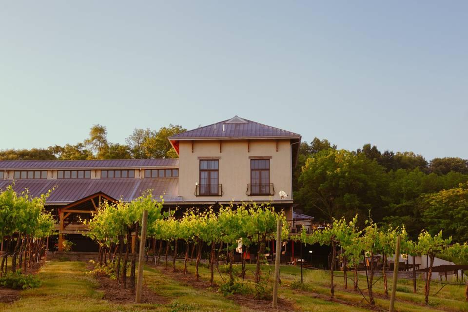 The Wedding Website of Tara Stross and John Hoeffner