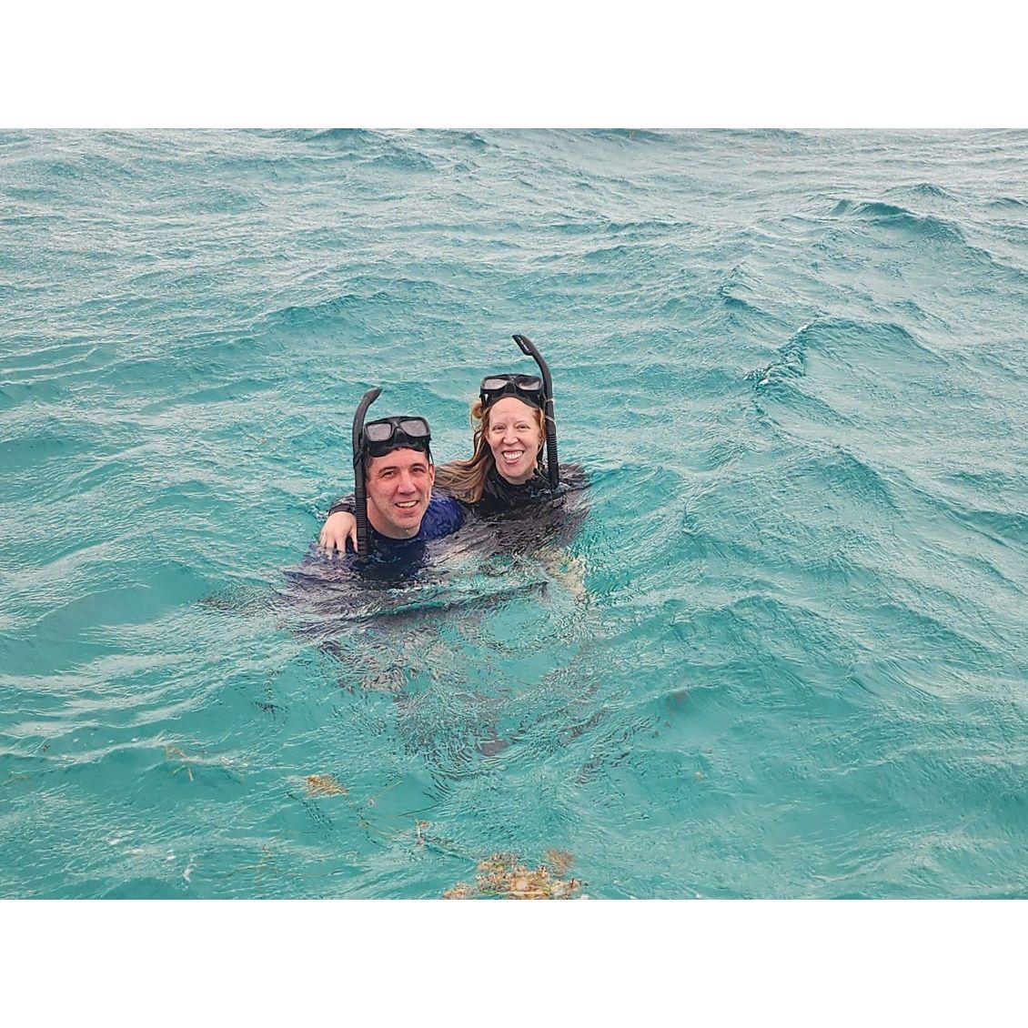 Snorkling with sharks, eel, and manatee in Hol Chan Marine Reserve in San Pedro, Belize. (January 2025)