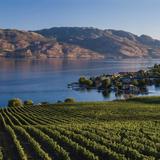 E-Bike Wine Tour