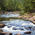 Sweetwater Creek State Park