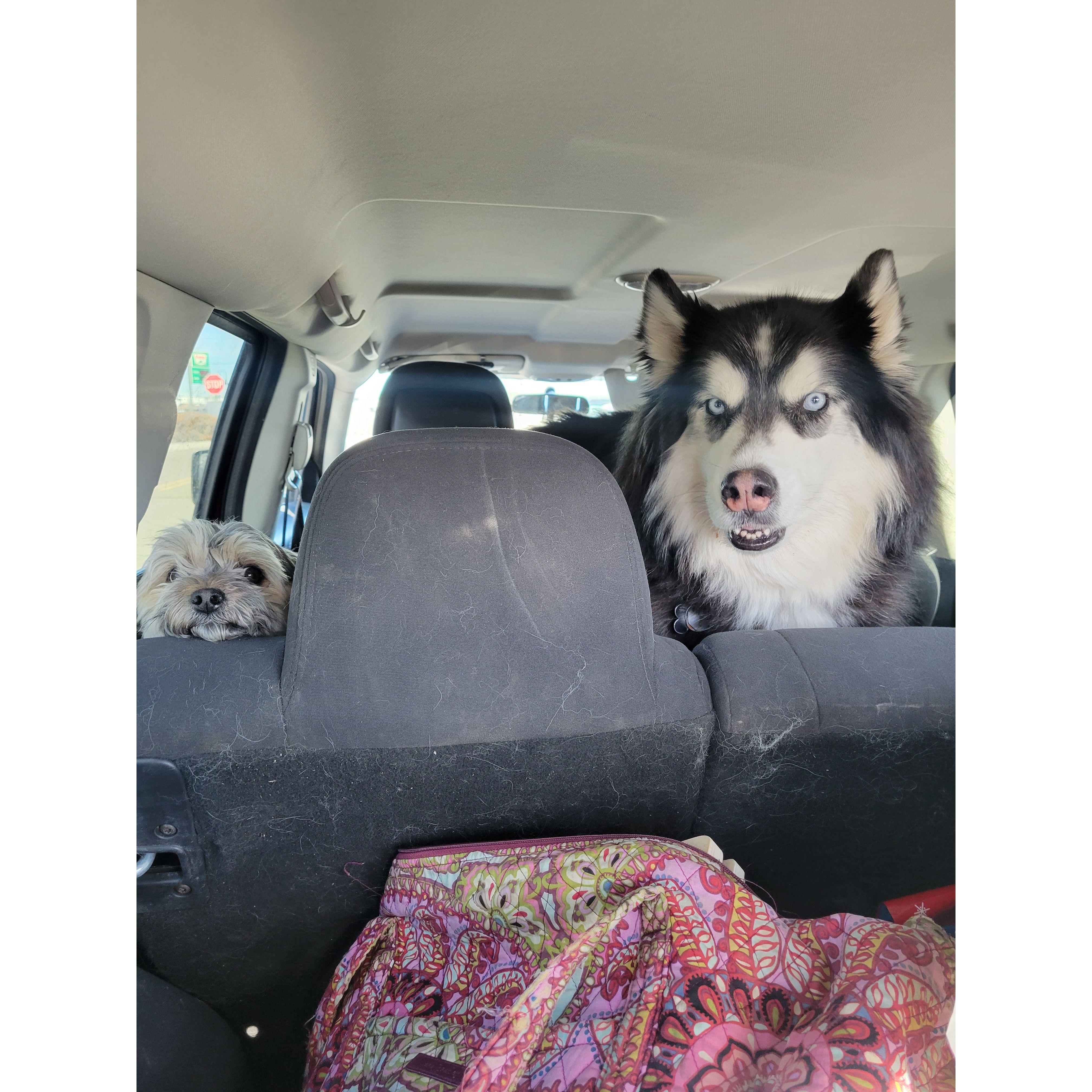 And he was ready for his first adventure!