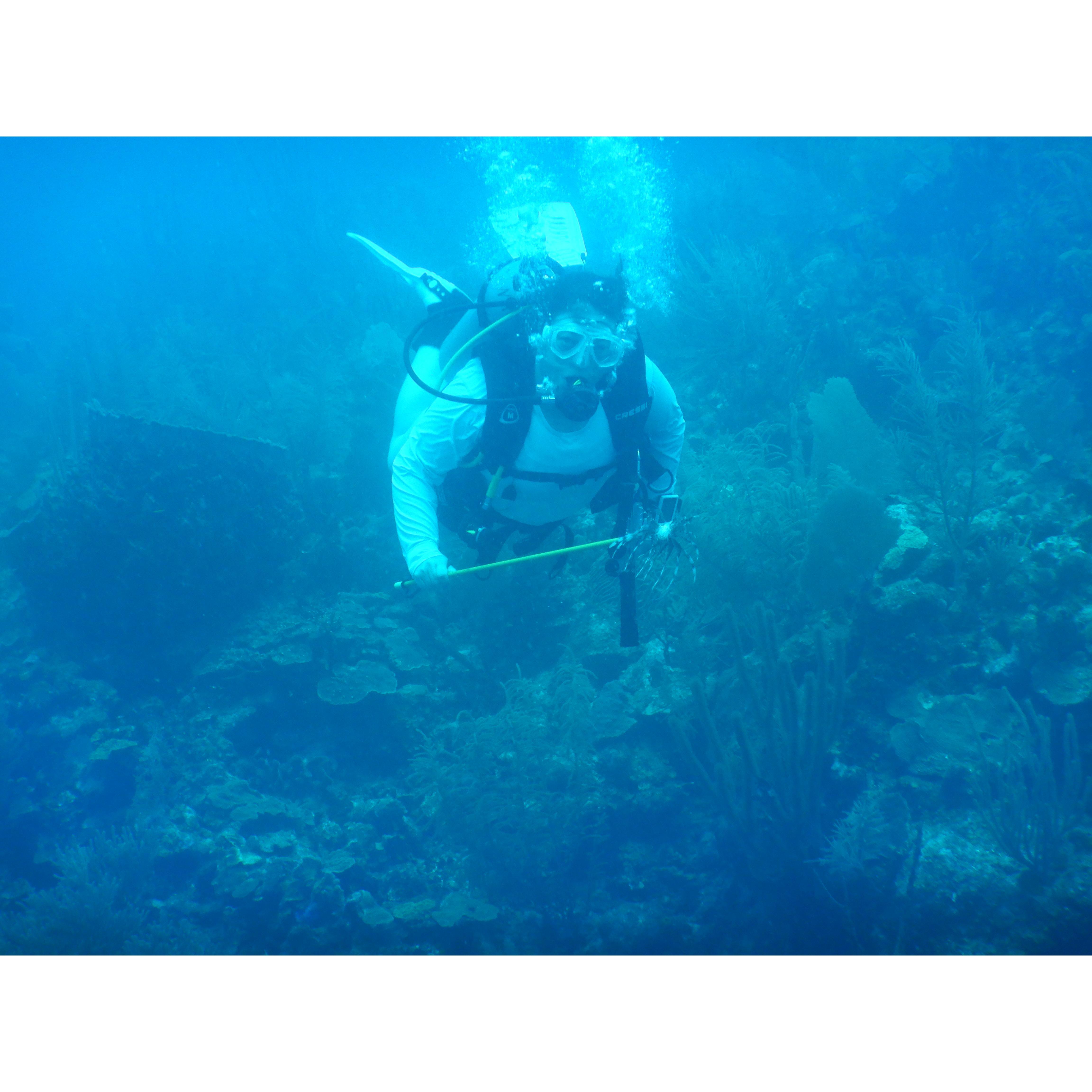 Protecting the reef spear fishing for invasive lion fish in Belize May 30, 2018