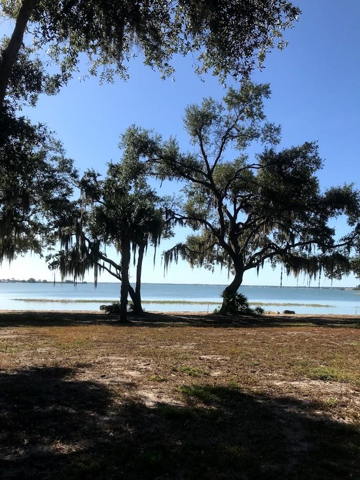 The Wedding Website of Michelle Blash and Robert McDaniel