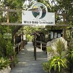 Florida Keys Wild Bird Rehabilitation Center