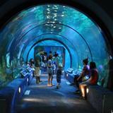 Moody Gardens Attractions Theme Park