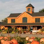 Sweet Berry Farm