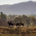 Horseback Riding