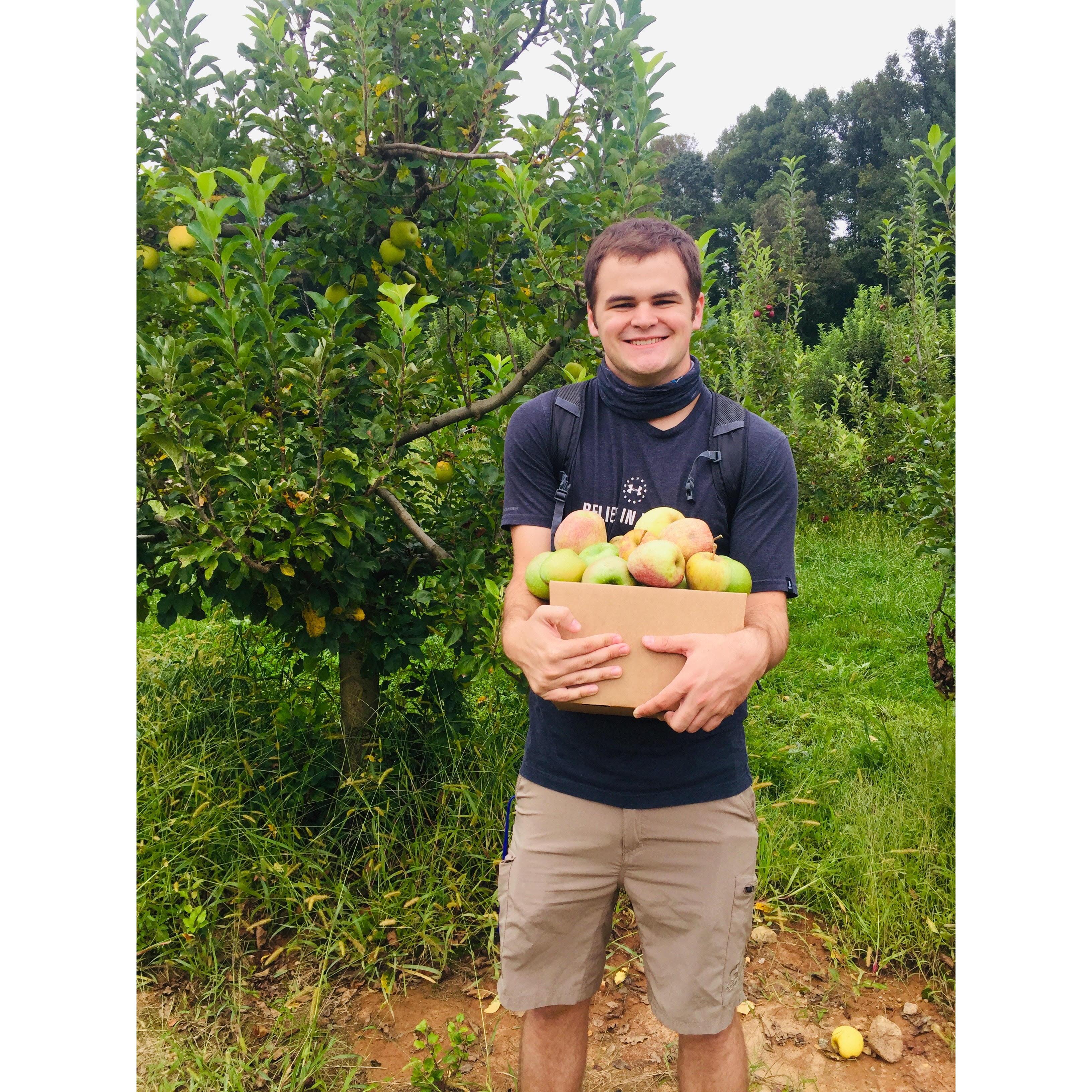 LOOK AT MY APPLES!