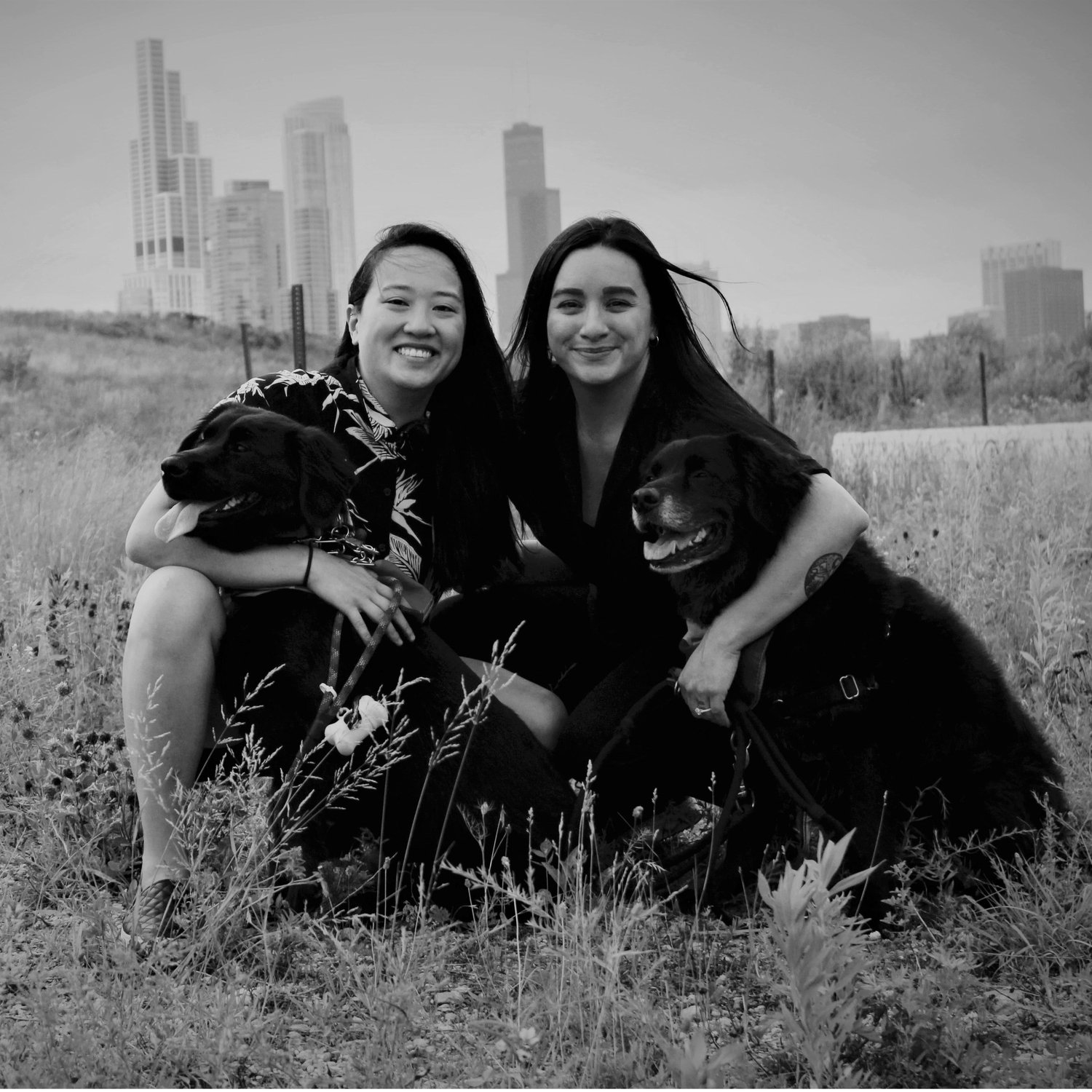 08/17/2019: Our engagement at Northerly Island