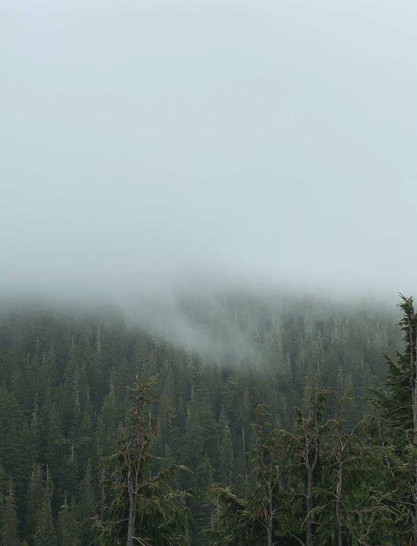 Cloud covering most of Mt Rainier today