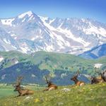 Visit Rocky Mountain National Park