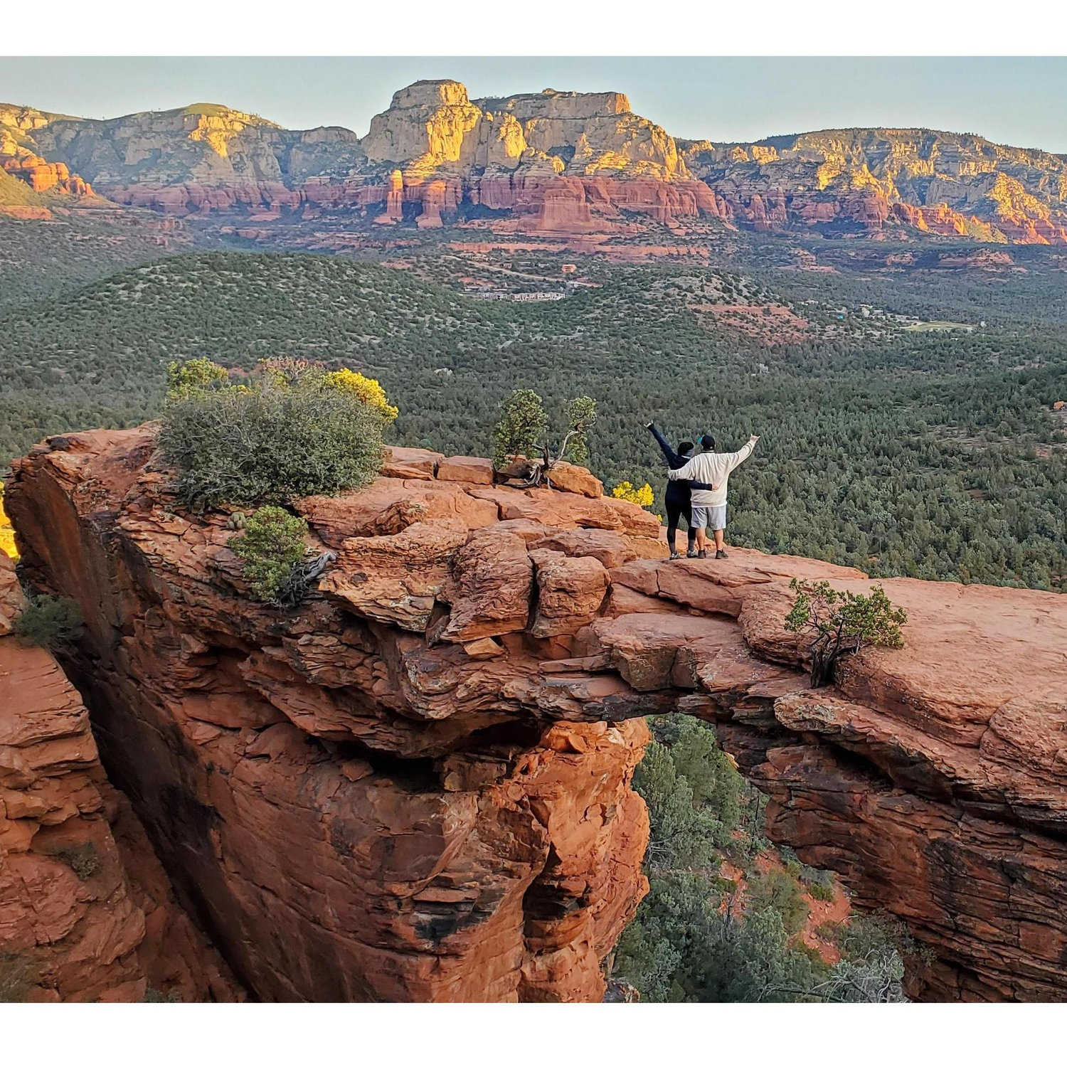 Arizona 2020