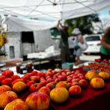 The Tower Grove Farmers' Market