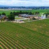 Campos Family Vineyards