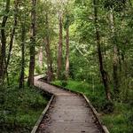 Conestee Nature Preserve