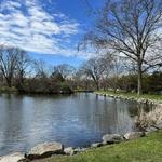 Bruce Park