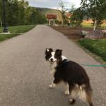 Walk Downtown Missoula
