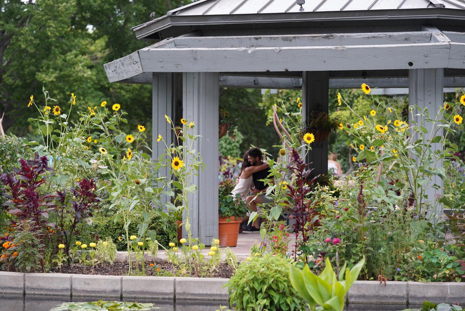 Our very good (and sneaky) friend, Iris, was in on Mark's plan and captured these photos from the bushes.
