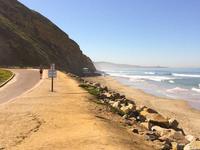 Torrey Pines State Reserve