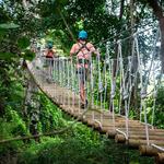 Aerial Adventure