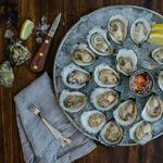 The Raw Bar at Island Creek Oyster Farm